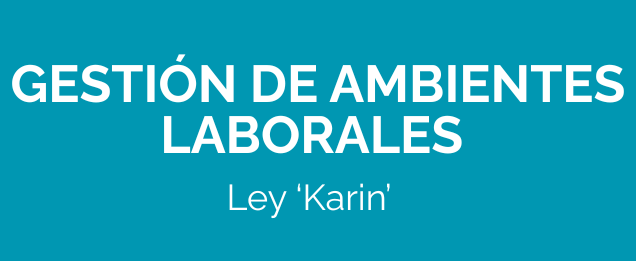 Ley Karin