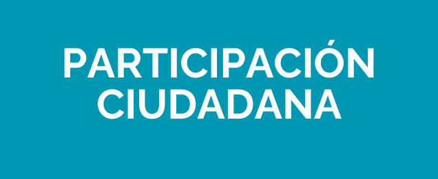 Participacion ciudadana