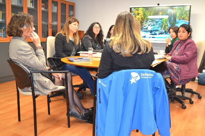 La reunión se efectuó en el auditorio de la Defensoría Regional de Coquimbo.