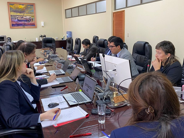 La comisi&oacute;n, que sesiona en la Corte de Apelaciones de Concepci&oacute;n, inici&oacute; el lunes su trabajo.