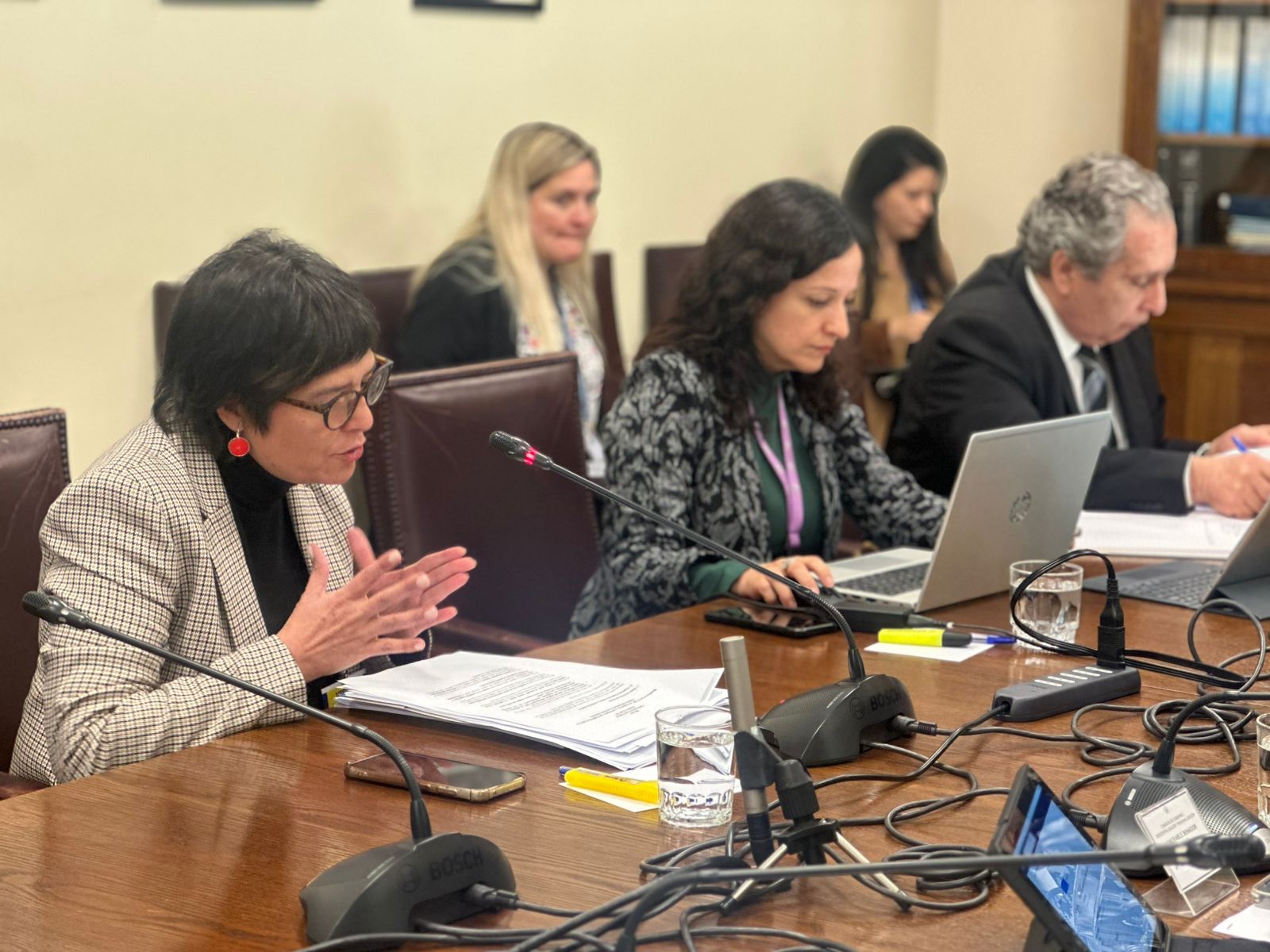 Defensora Nacional cuestionó criminalización del ingreso clandestino: “La sanción penal no disuade y debilita principios del sistema”