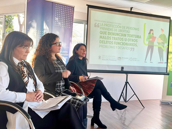 La jefa de la Unidad de Derechos Humanos de la Defensor&iacute;a durante su exposici&oacute;n en el panel.