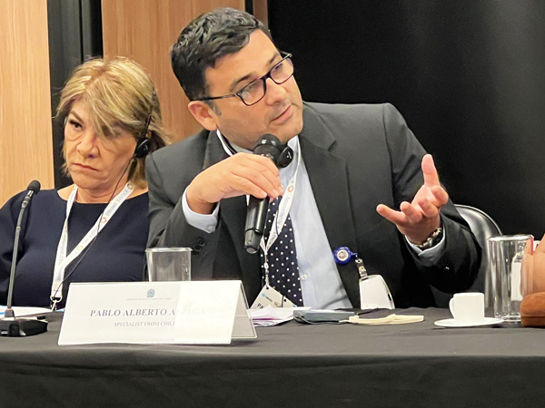 Pablo Aranda durante una de sus intervenciones en la reuni&oacute;n del grupo de expertos en Brasilia.