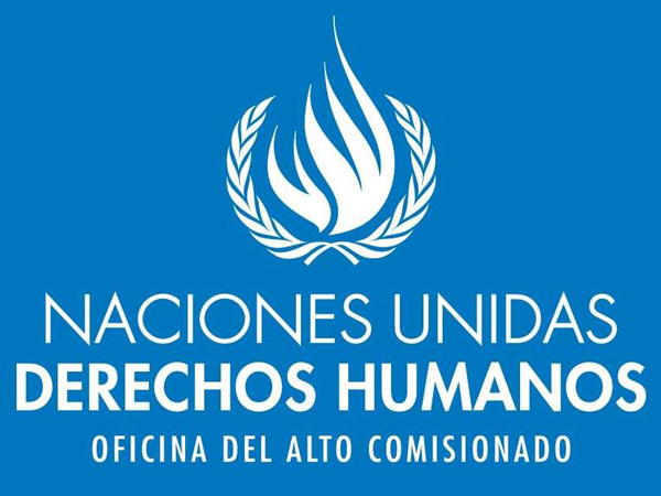 Defensoría Regional de La Araucanía participó en reunión con representantes del Alto Comisionado de Naciones Unidas para los Derechos Humanos